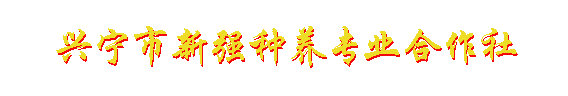 兴宁市新强种养专业合作社
