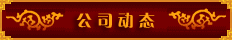 公司动态